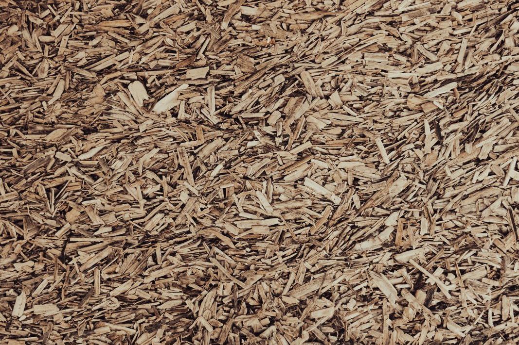 Close-up of graded hemp hurd