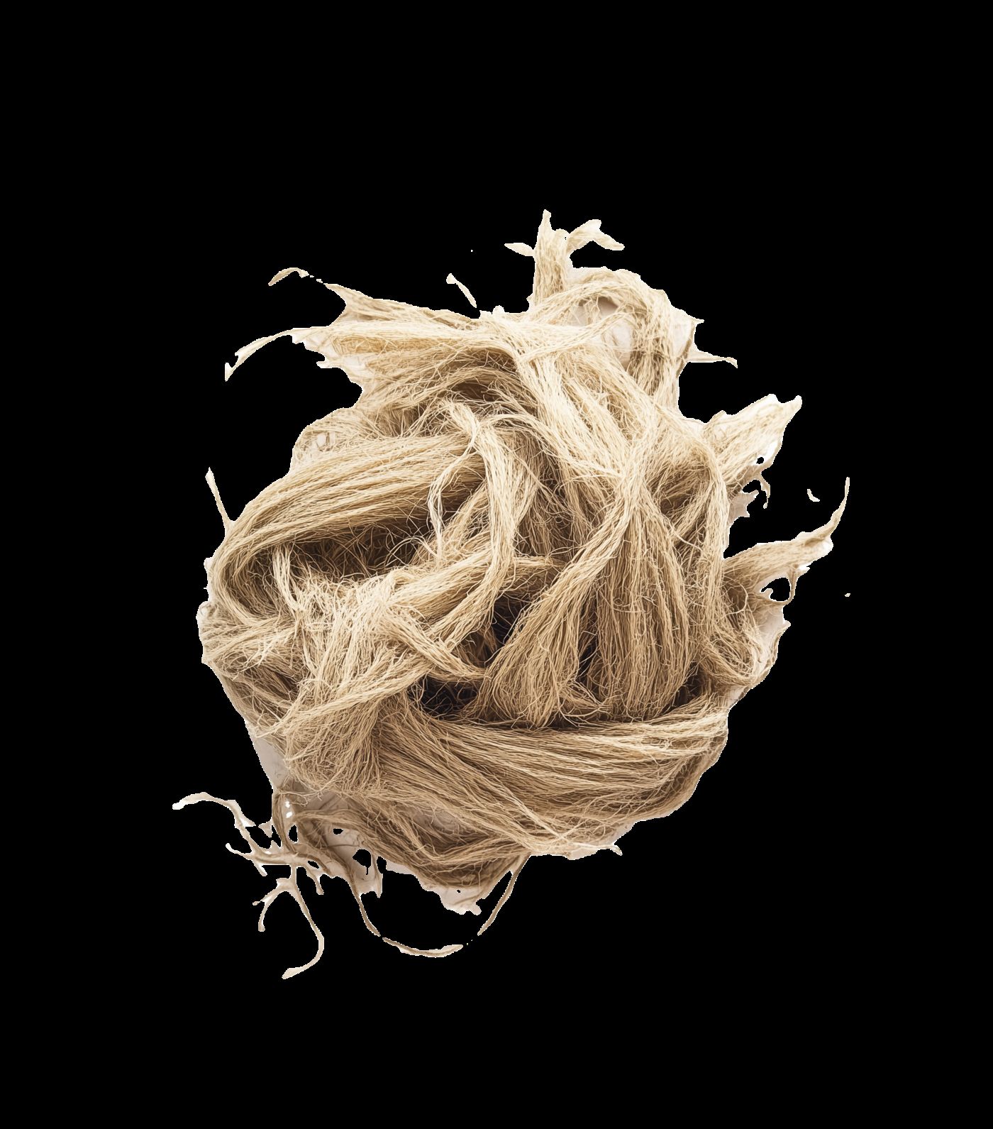 Raw hemp fibre